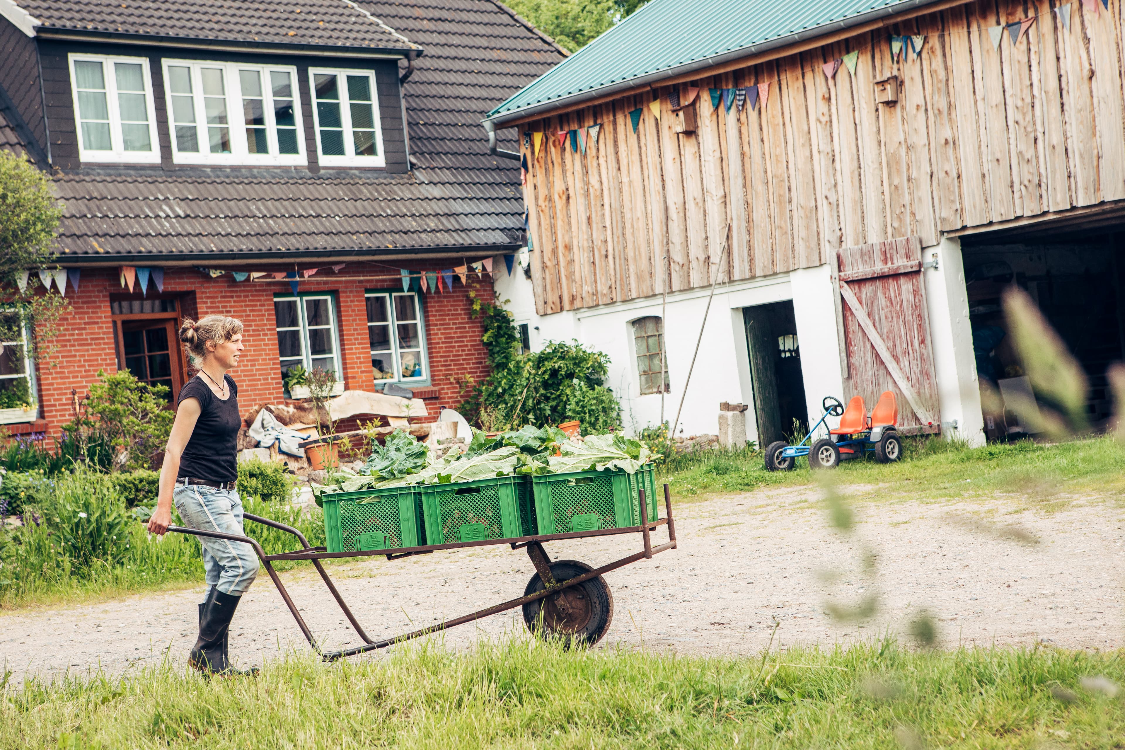 Eine Frau schiebt in ländlicher Umgebung neben einem Haus und einer Scheune eine Schubkarre mit grünen Kisten voller Gemüse.